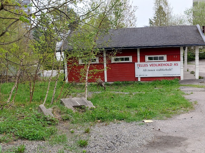 Bilde fra TELLE'S VEDLIKEHOLD AS i Oslo